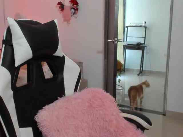 LaraCat1 LaraCat1