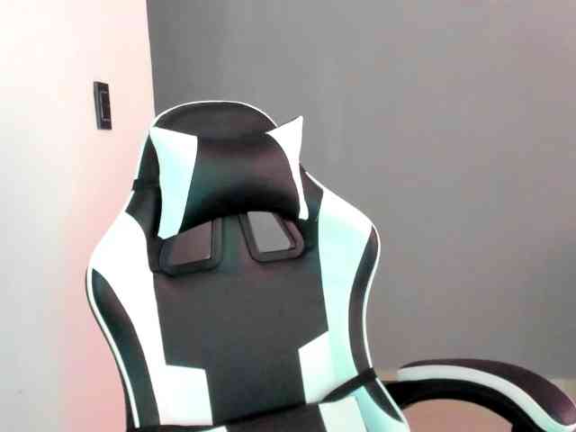 LaraCat1 webcam