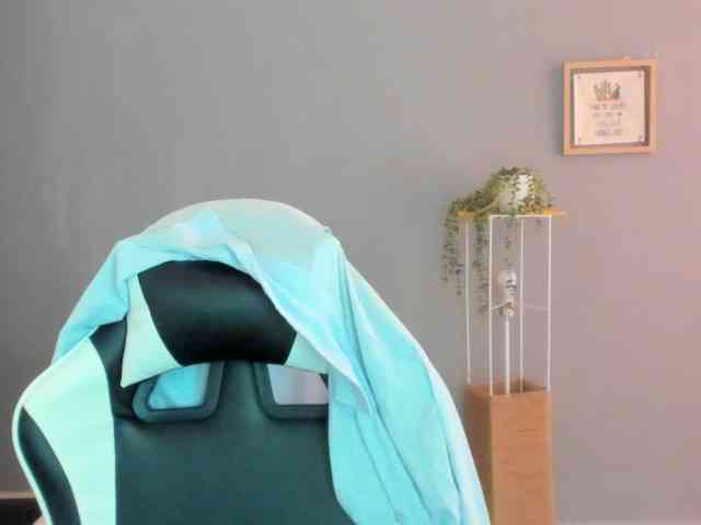 LaraCat1 webcam