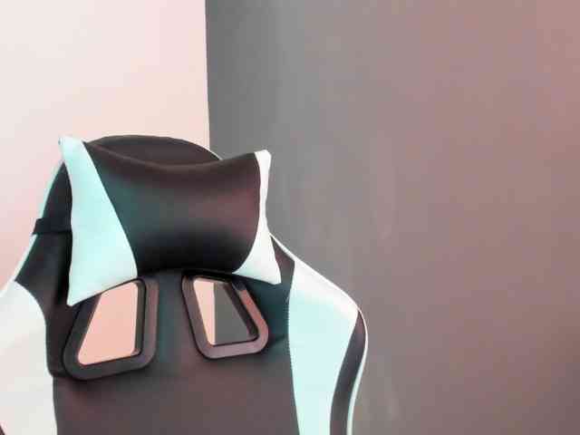 LaraCat1