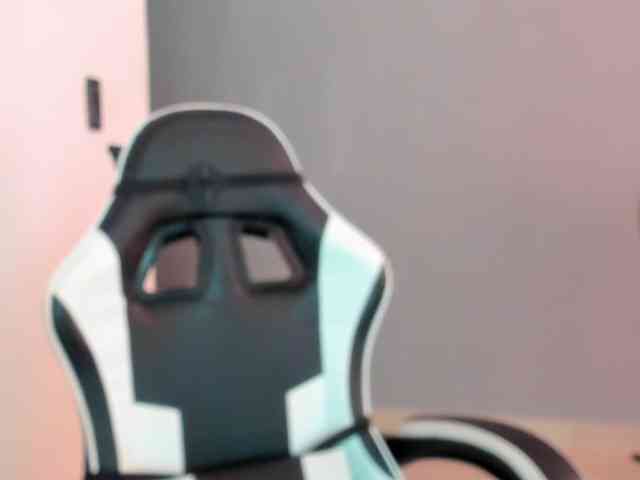 LaraCat1 webcam