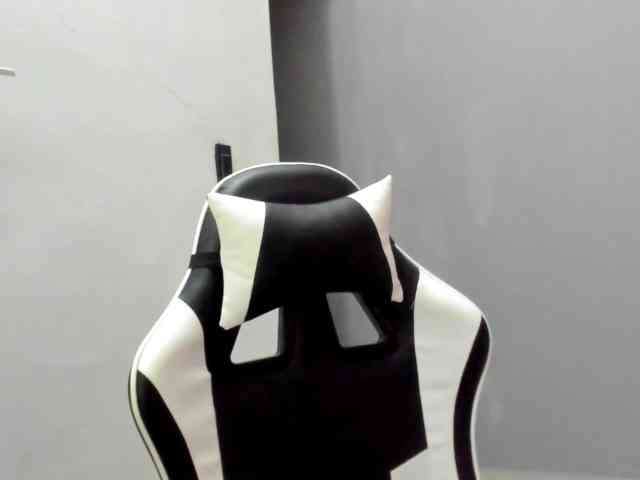 LaraCat1 webcam