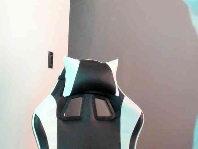 LaraCat1