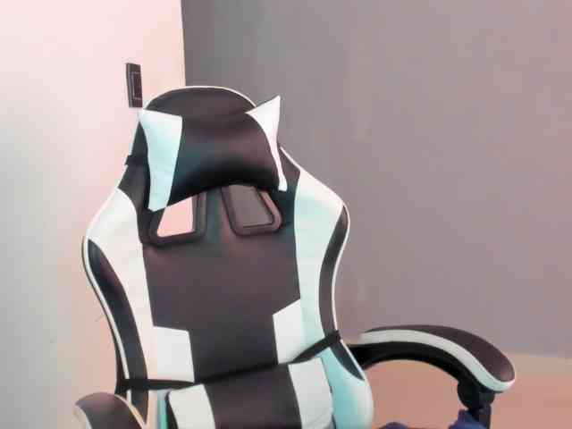 LaraCat1 webcam