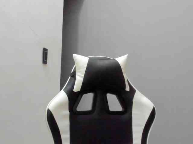 LaraCat1 webcam
