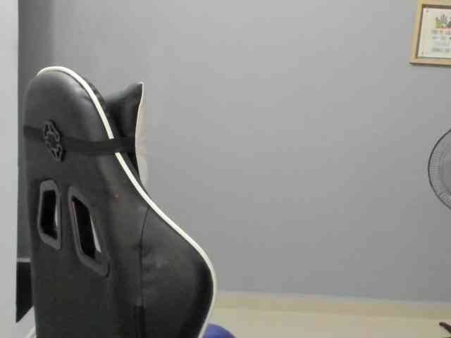 LaraCat1 webcam