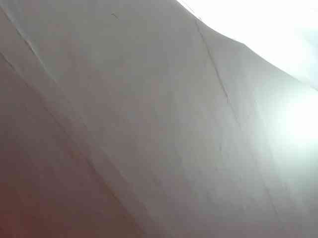 LaraCat1 webcam