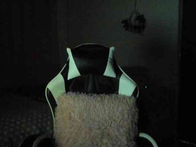 LaraCat1 webcam