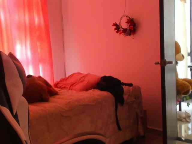 LaraCat1 webcam