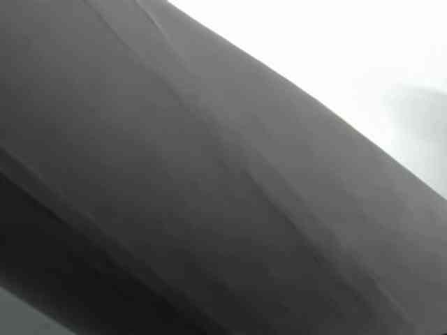 LaraCat1