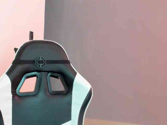 LaraCat1