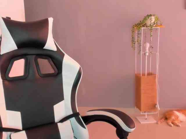 LaraCat1