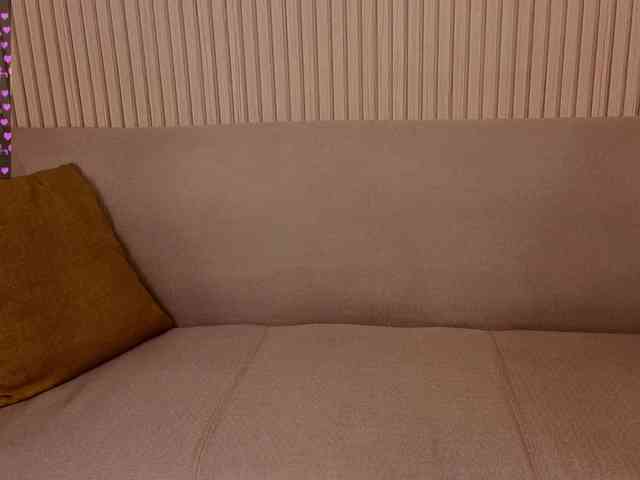 Linaage webcam