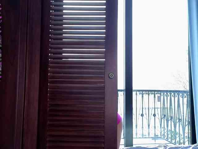 Linaage webcam