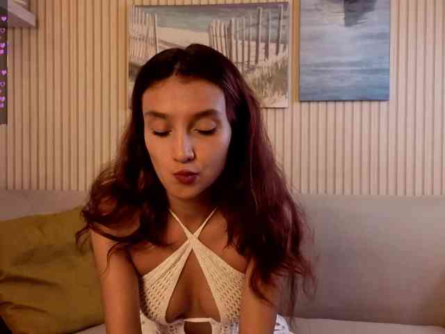 Linaage webcam