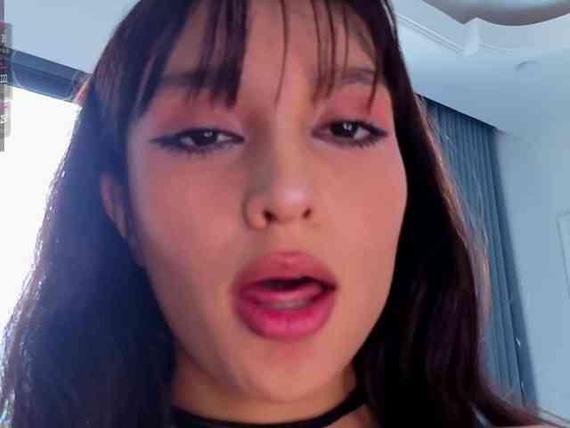 Linaage webcam