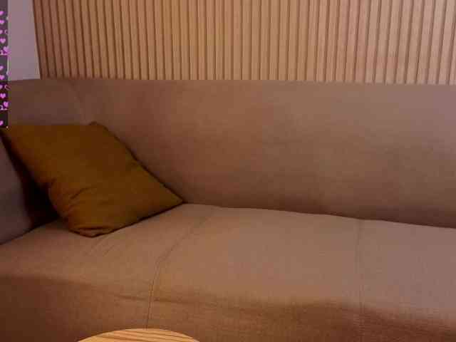 Linaage webcam
