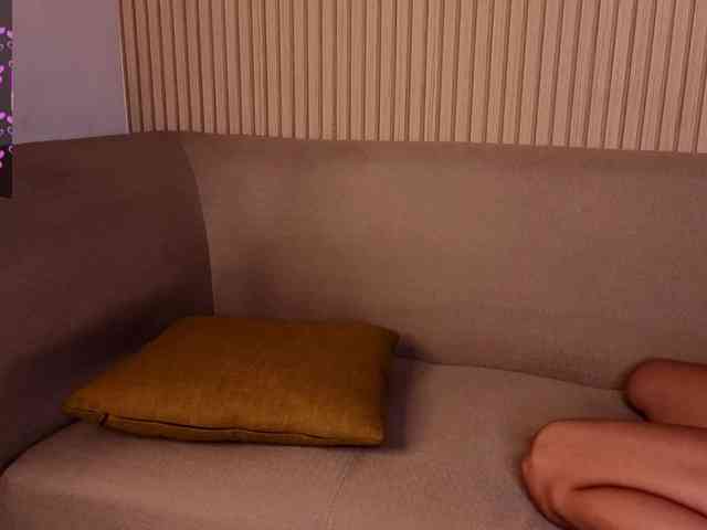 Linaage webcam