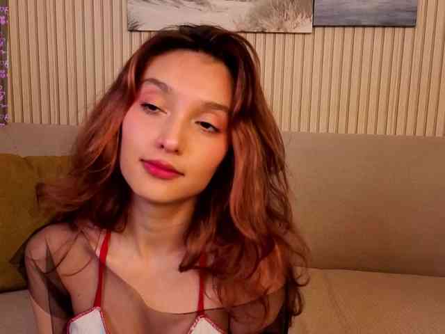 Linaage webcam