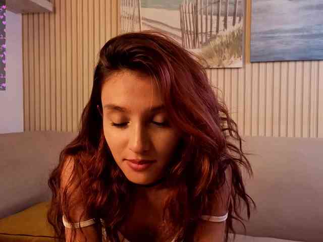 Linaage webcam