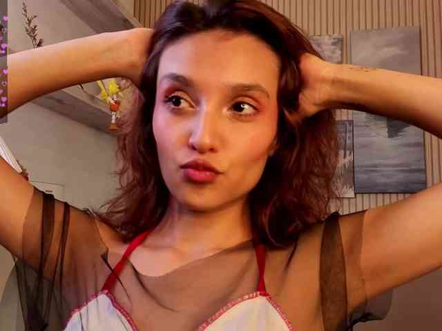 Linaage webcam