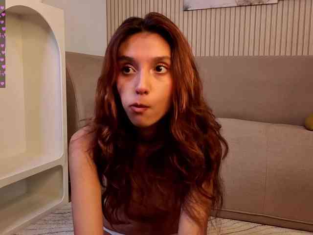 Linaage webcam