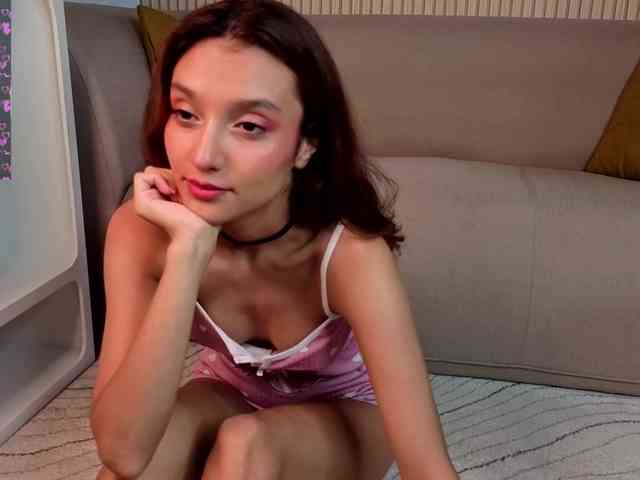 Linaage webcam