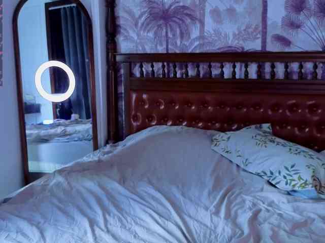 Linaage webcam