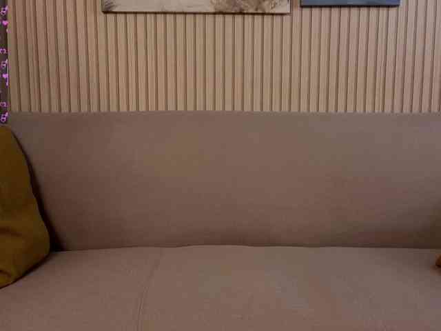 Linaage webcam