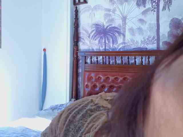 Linaage webcam