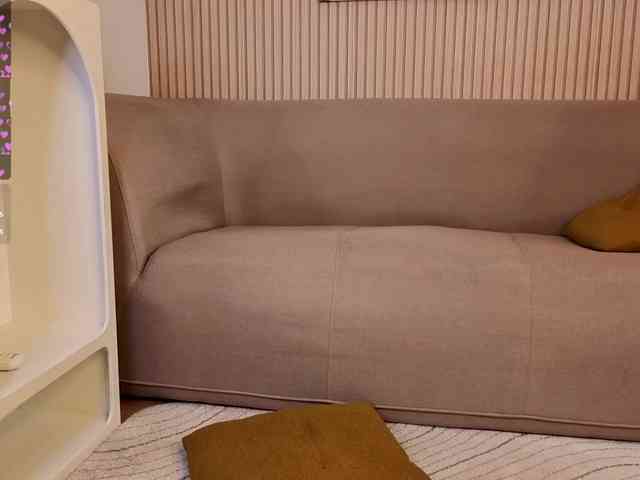 Linaage webcam