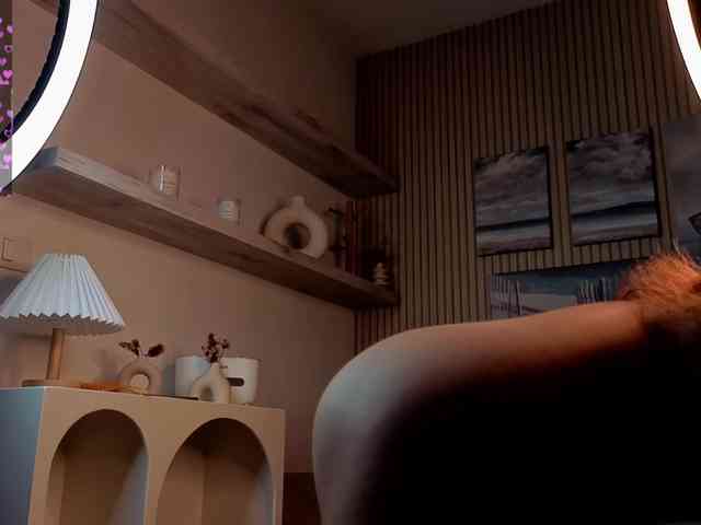Linaage webcam