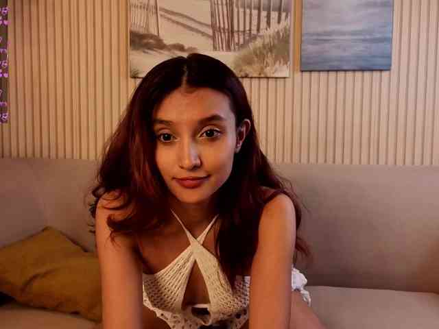 Linaage webcam