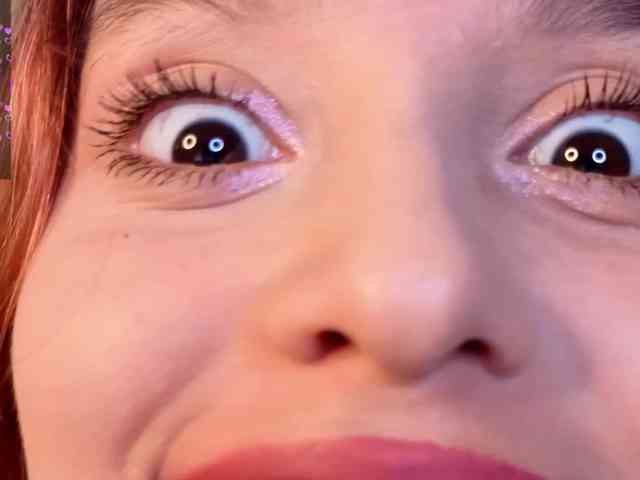 Linaage webcam