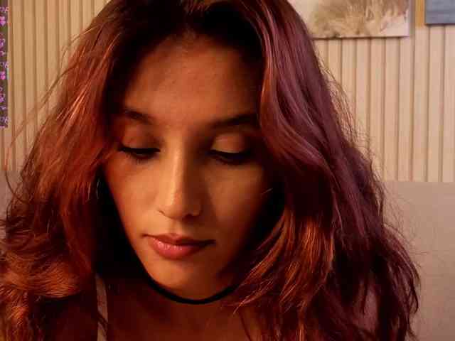 Linaage webcam