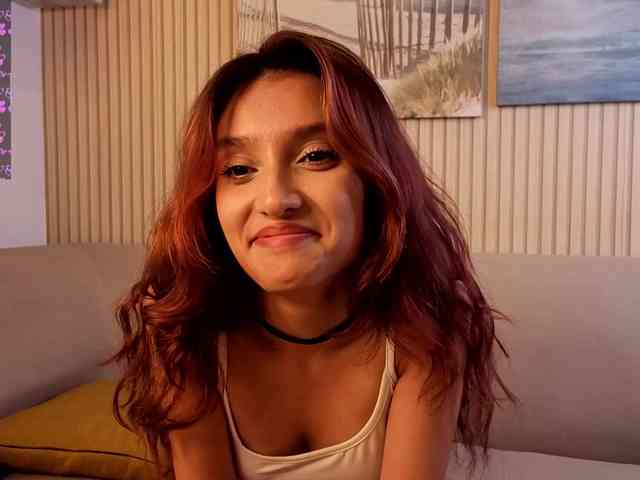 Linaage webcam