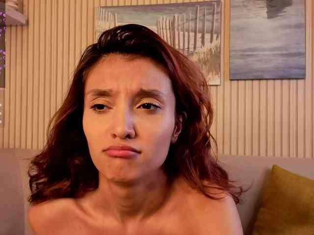 Linaage webcam