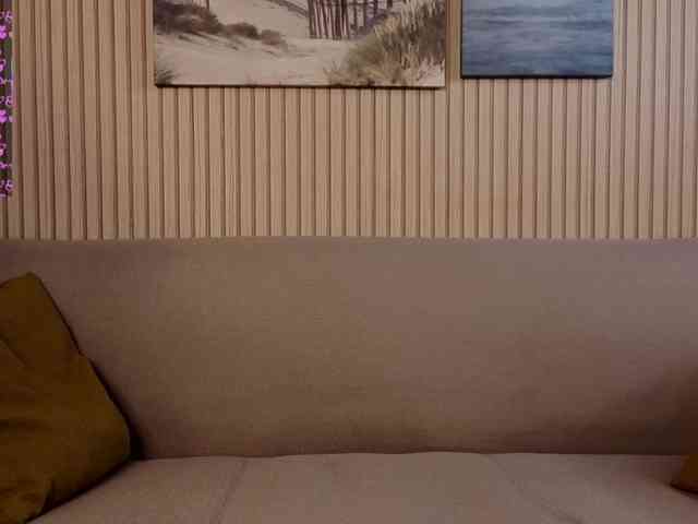 Linaage webcam