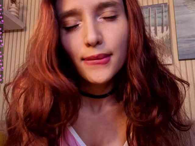 Linaage webcam