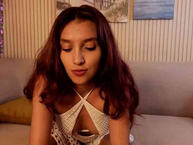 Linaage webcam