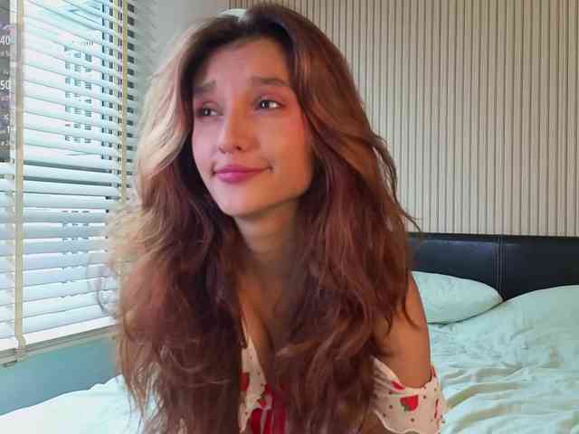 Linaage webcam