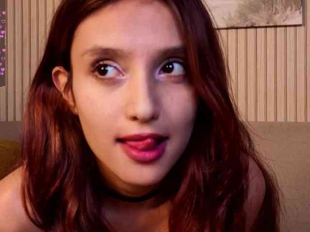 Linaage webcam