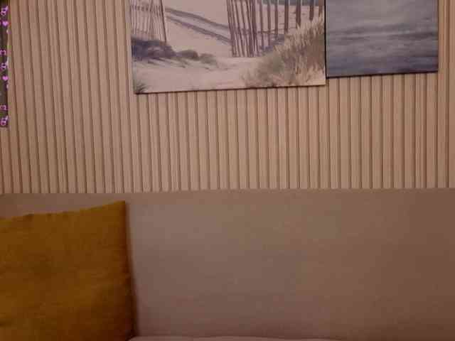 Linaage webcam