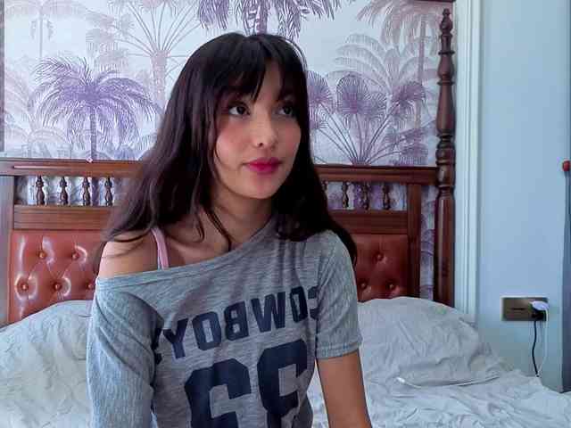 Linaage webcam