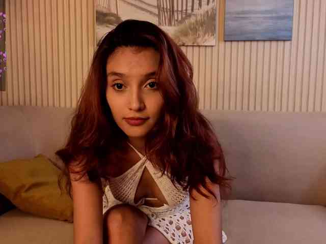 Linaage webcam