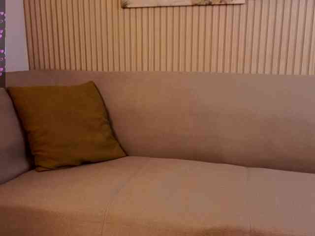Linaage webcam