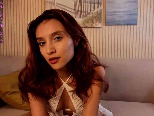 Linaage webcam