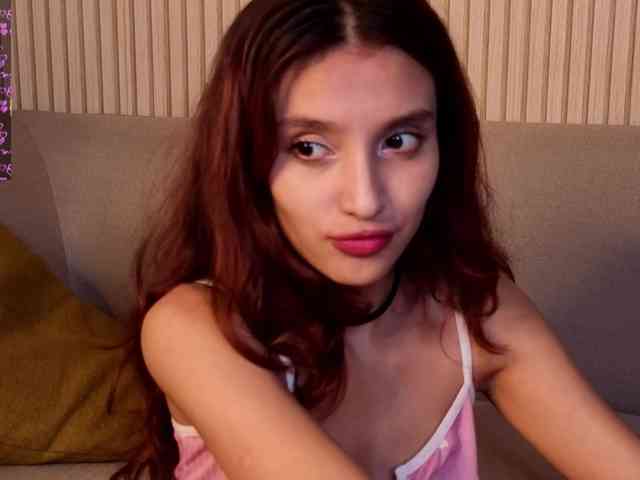 Linaage webcam