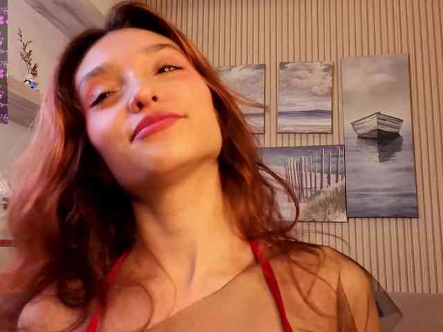 Linaage webcam
