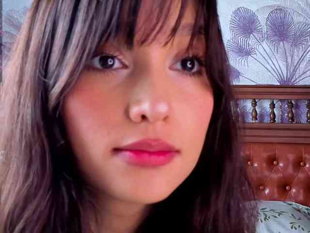 Linaage webcam